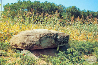 Hongseong Dolmen