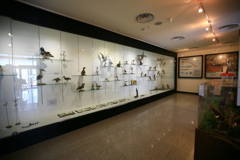 Bird Science Center 2