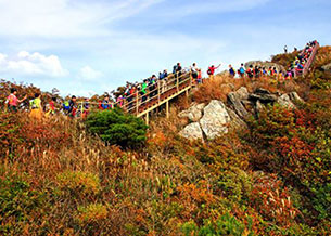 내포의 중심 홍성 사진4 - 오서산 사진