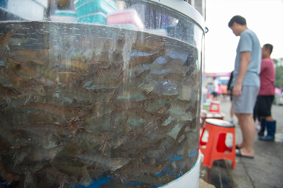 洪城南塘港大海老祭り2