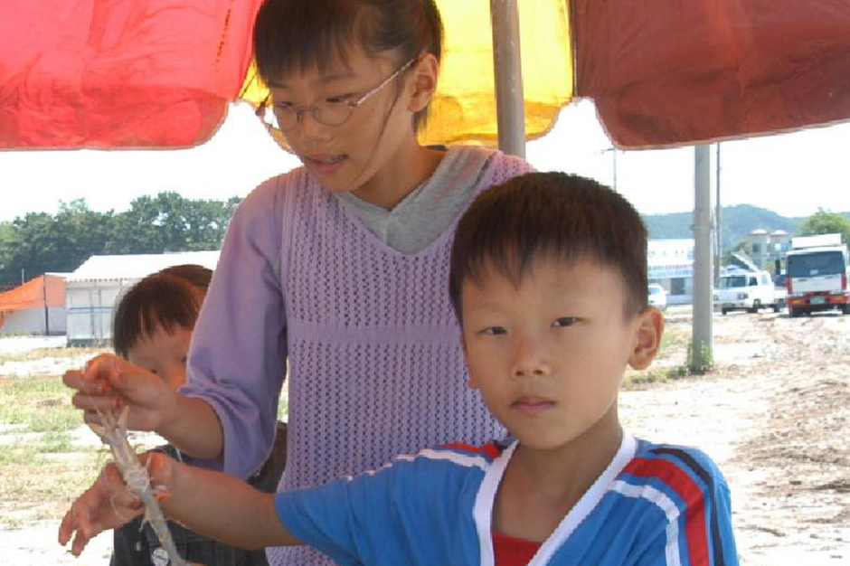 Hongseong Namdang Port Jumbo Shrimp Festival9