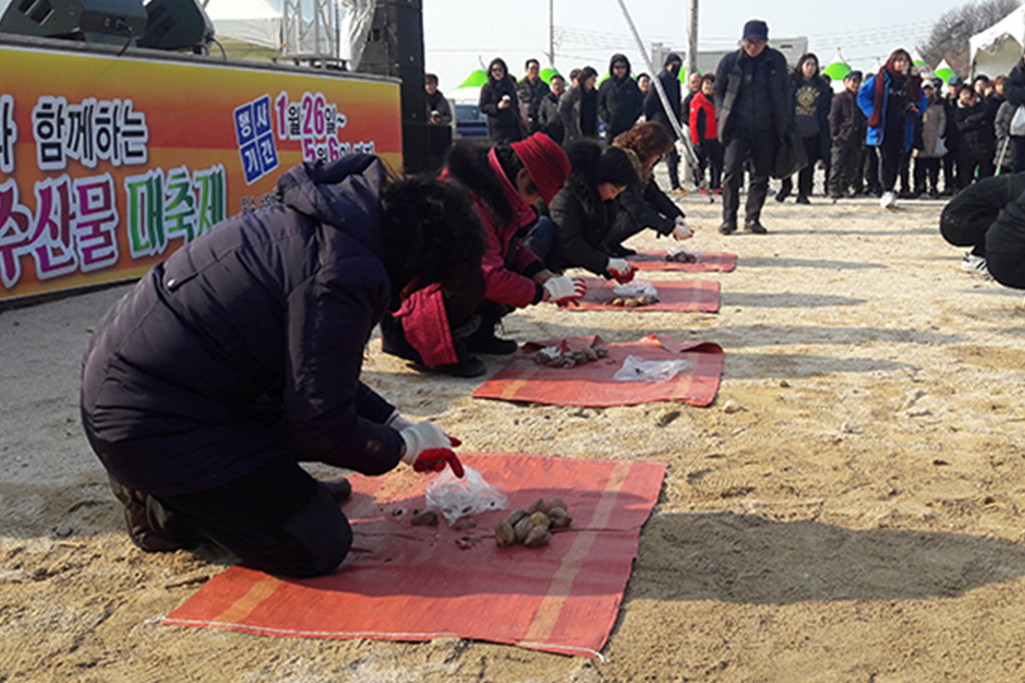 Hongseong Namdang Port Cockle Festival8