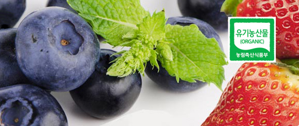 포도와 딸기 사진, 유기농산물(ORGANIC) 농립축산식품부 로고