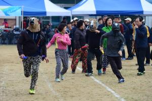 (2015. 11. 21) 제13회 홍동면민 체육대회
