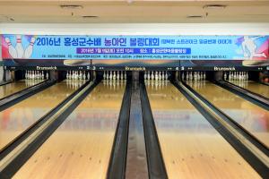 (2016.7.9) 홍성군수배 농아인 볼링대회