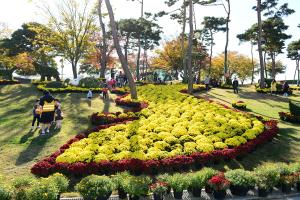 (2017.10.31) 제16회 홍성사랑 국화축제&농업축전
