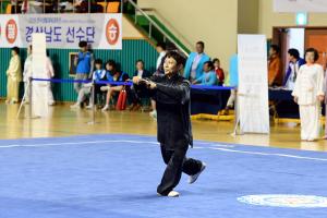 (2018.5.12) 전국 생활체육대축전(우슈)