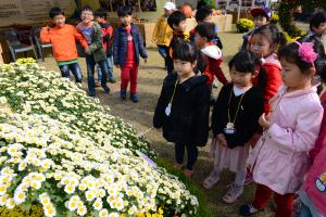 국화축제