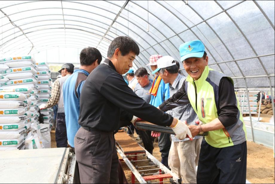 농촌지도자홍성군연합회 공동과제포 파종작업 이미지