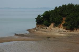 삼성전자(기흥) 직원, 갯벌체험여행