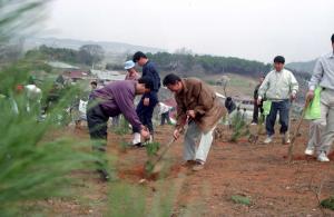 92식목일행사