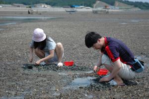 삼성전자(기흥) 직원, 갯벌체험여행