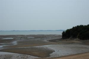 삼성전자(기흥) 직원, 갯벌체험여행