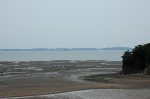 삼성전자(기흥) 직원, 갯벌체험여행