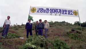 91고향의정심어주기