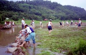 이종국도지사 순시 