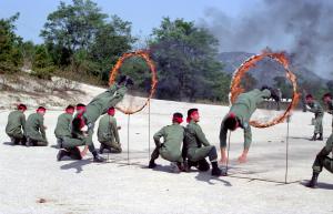 군인43주년행사