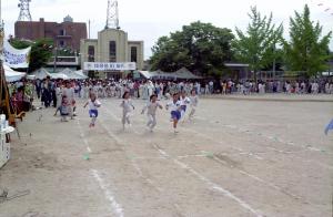 홍주초등학교 대운동회 