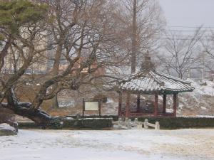 여하정의 겨울