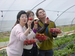 SK텔레콤/봄나들이 딸기체험여행