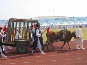 제1회 내포사랑큰축제 사진