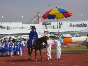 제1회 내포사랑큰축제 사진