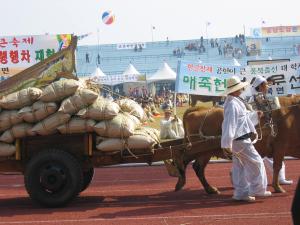제1회 내포사랑큰축제 사진