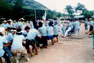 93 홍성군 4-H 연합회 야영 교육