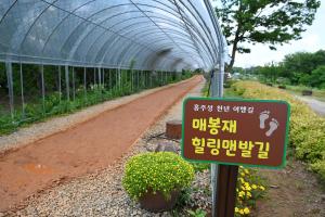 맨발 황토길
