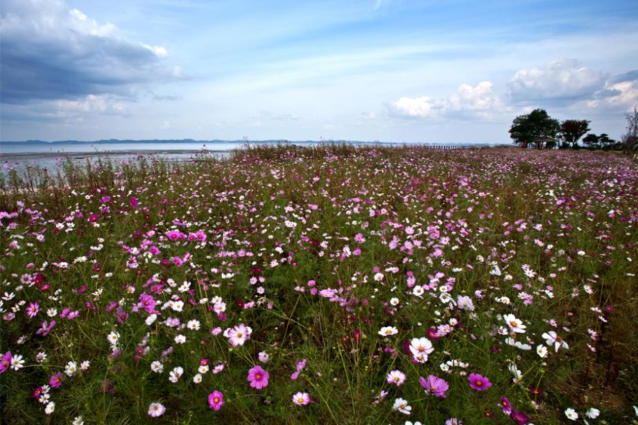 Gung-ri Inlet8