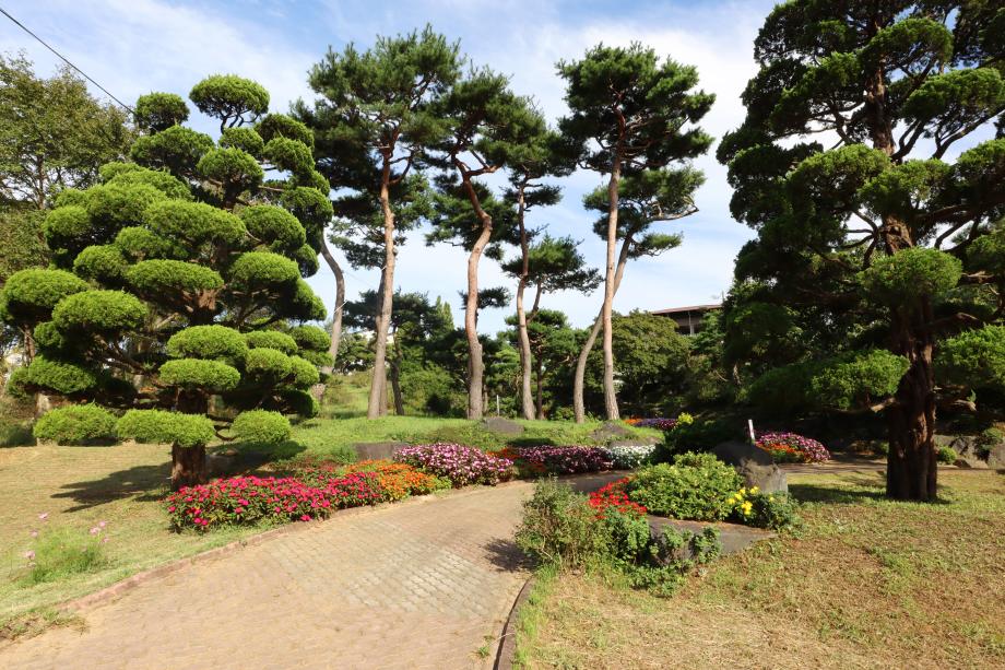 Gallery in the Garden