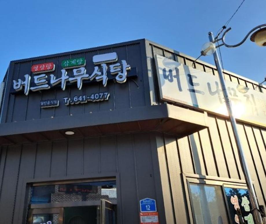 버드나무집