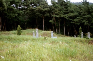 Hongseong General Im Deuk-ui's Grave