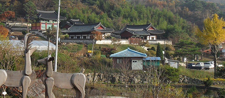 거북이마을 사진