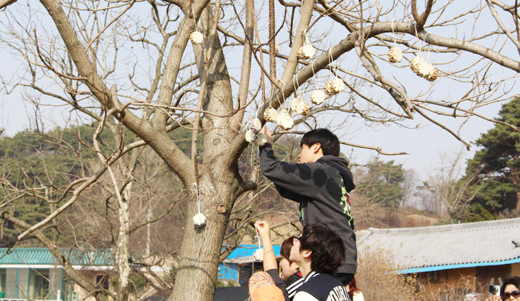 한솔기권역 사진8
