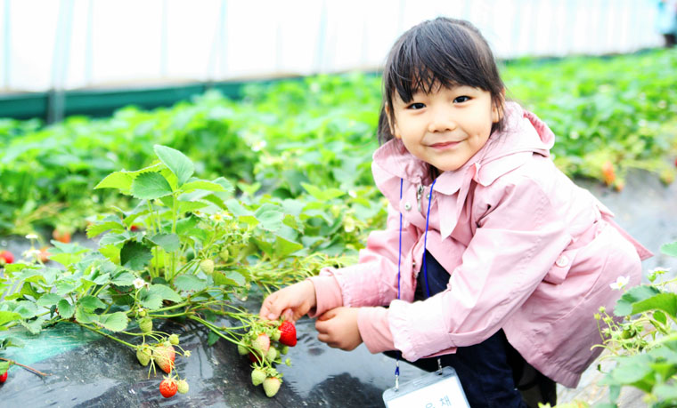 세아유농장 사진7