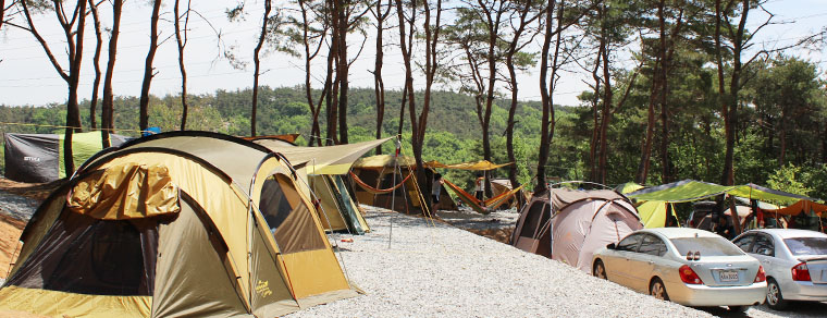 용봉산캠핑장 사진