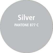 Silver PANTONE 877 C