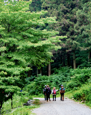 지역명산