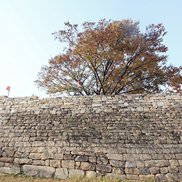 홍주성 성곽