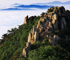 용봉산 사진