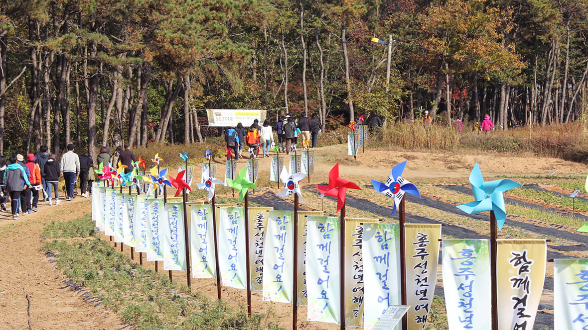 들꽃걷기축제에 참여중인 군민들 이미지3