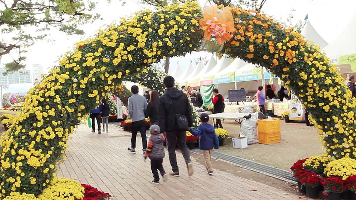 국화 사랑축제 현장 이미지