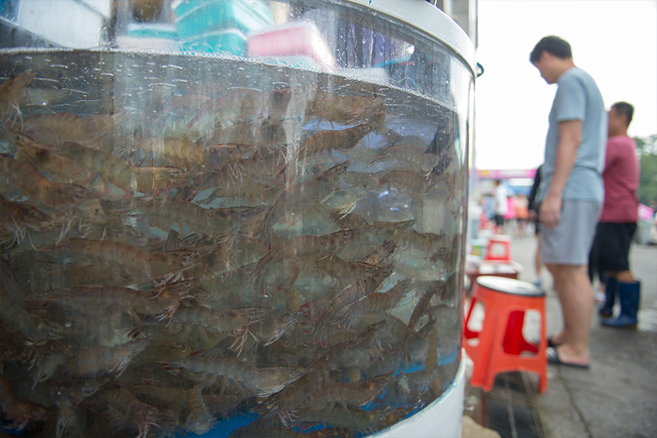 Hongseong Namdang Port Jumbo Shrimp Festival2