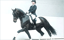 마장마술(Dressage)