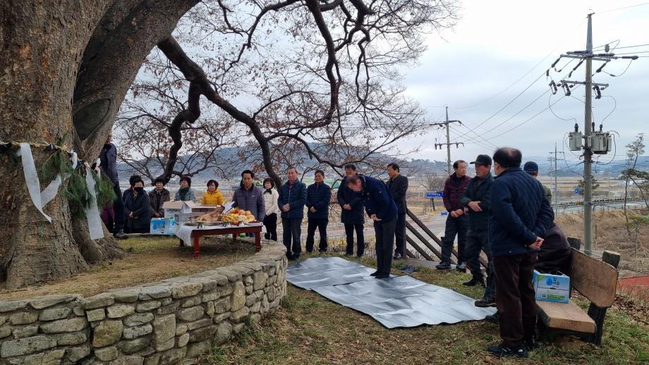 갈산면 신촌마을 당산제, 마을 풍요와 번영 기원 이미지