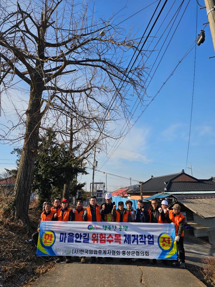 홍성군 임업후계자, 위험수목 제거 봉사활동 나서 이미지