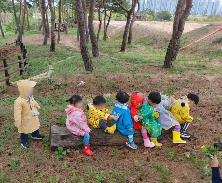 홍성군, 아이와 함께하는 숲체험프로그램 운영 이미지