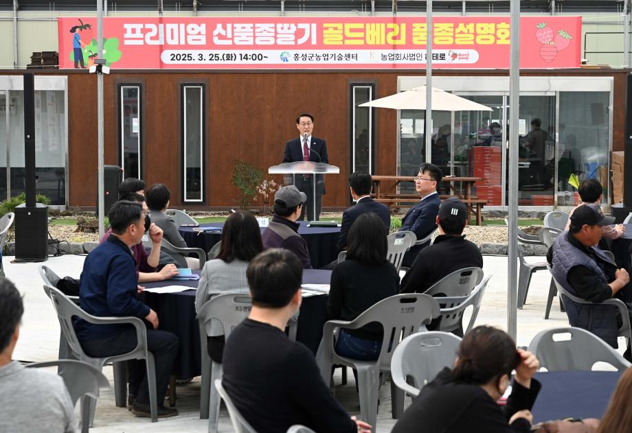 ‘홍성’ 프리미엄 딸기 ‘골드베리’ K딸기 왕좌 노린다! 이미지