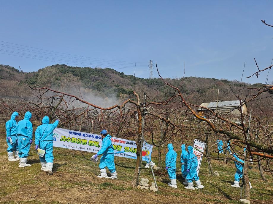홍성군, 과수화상병 확산 방지 및 산불예방 총력! 이미지